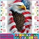 thumbnail image 3 of HOMFUN Fairy Dust AB Art 5D Diy Diamond Painting "Animal Eagle" Imágenes de diamantes Punto de cruz Bordado de diamantes de imitación 3D Decoración, 3 of 5