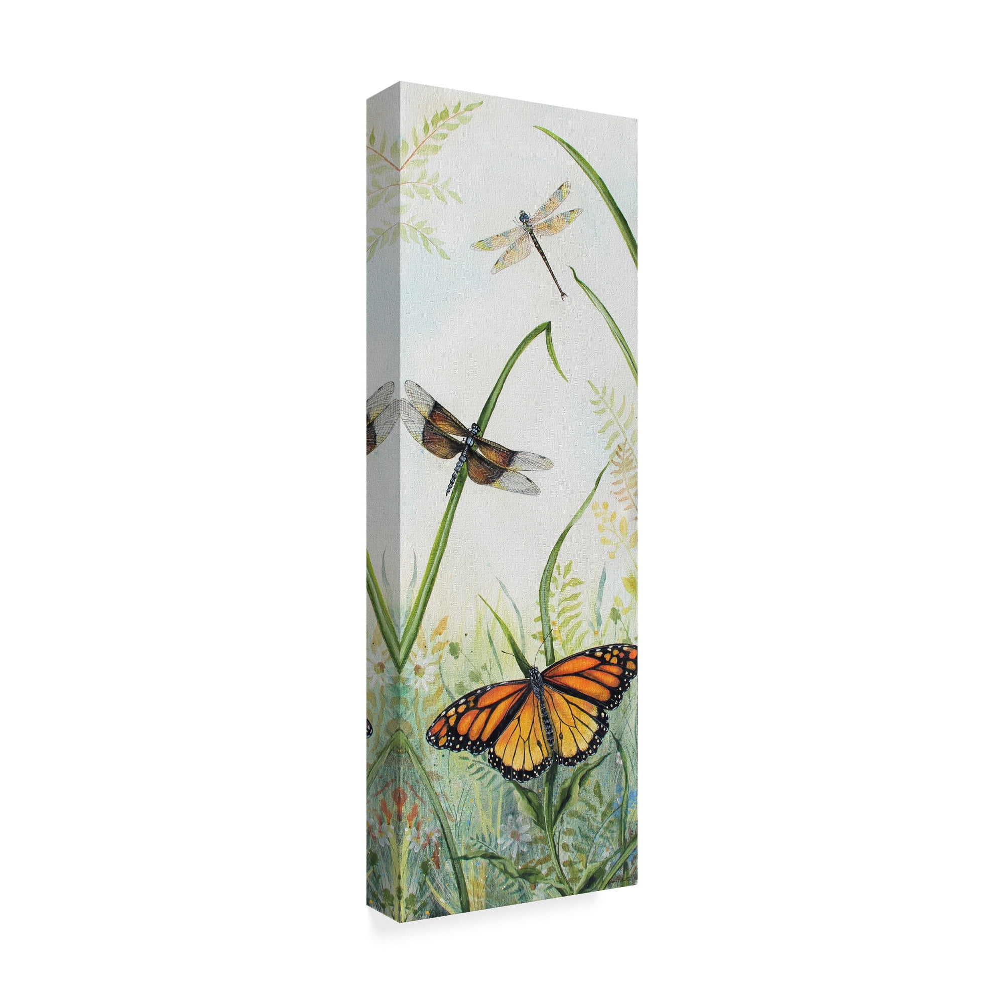 Trademark Fine Art 'Botanical Beauties 4' Canvas Art by Jean Plout
