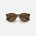 thumbnail image 4 of Sunglasses Ray-Ban RB 2204 139357 Havana On Transparent Polar Br, 4 of 5