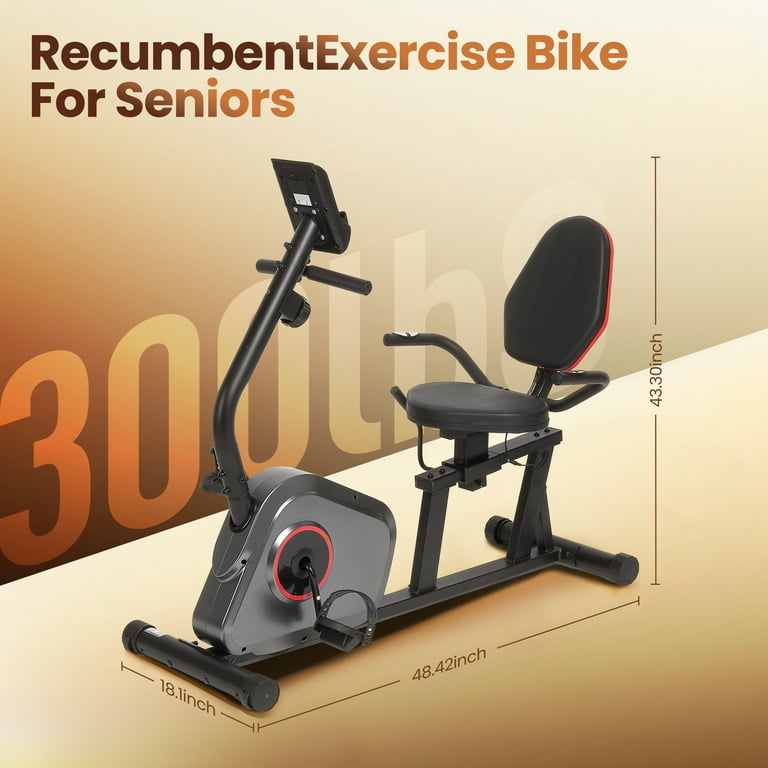 Naipo Recumbent Exercise Bike, 300lbs Capacity, Gray, Magnetic
