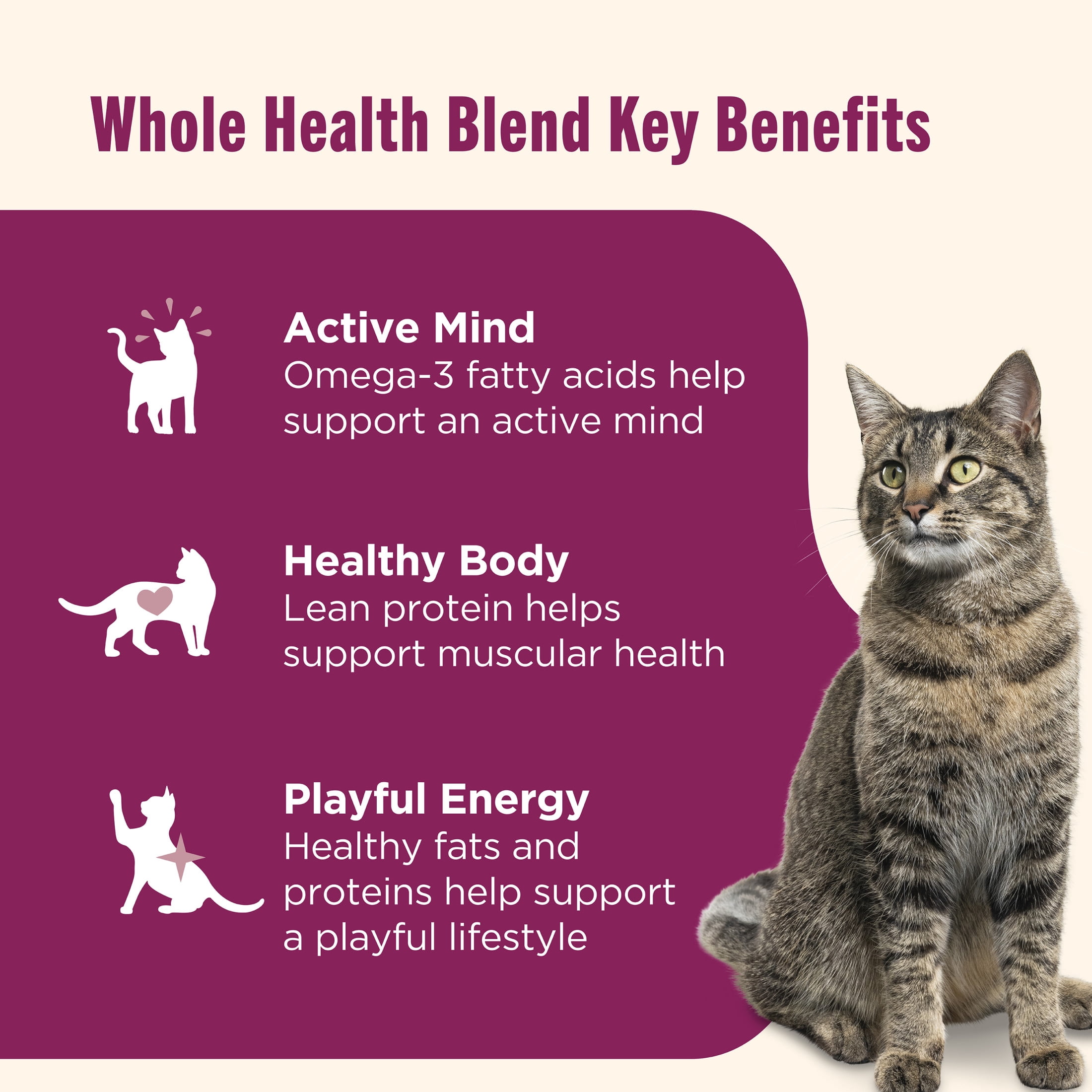 Nutrish Grain Free Wet Cat Food Tuna Purrfection Whole Health Blend with Real Tuna Flakes in a Savory Sauce, 2.8 oz. Cup (Rachael Ray)