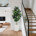thumbnail image 3 of QinaQin Árbol artificial de hoja de violín de 5 o 6 pies en maceta blanca, planta decorativa realista para sala, oficina o hogar, 3 of 7