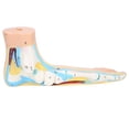 thumbnail image 4 of Garosa Human Foot Model Adults Lifesize Teaching Research Muscle Display Explain Accessories, 4 of 8