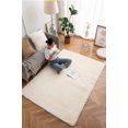 thumbnail image 2 of Soft Fluffy Area Rug, Washable Silk-Wool PV Fleece, Non-Slip, Family and pet Friendly Living Room Rug (White,20×32 inch), 2 of 6