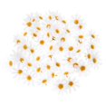 thumbnail image 2 of 50 piezas de cabezas de Flores artificiales PENGJTMXG margaritas artificiales manualidades Flores de tela para bricolaje, 2 of 4