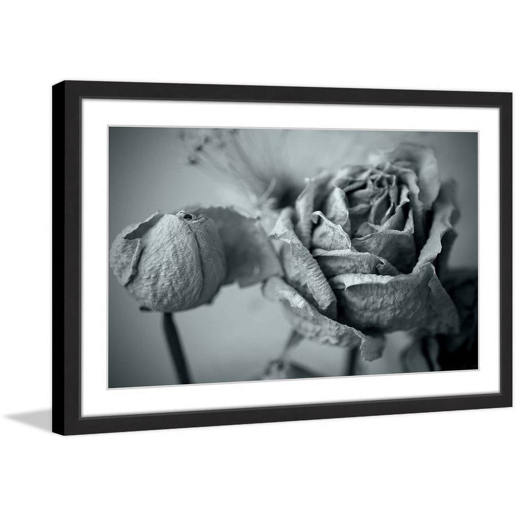 Roses in Slumber II Framed Painting Print