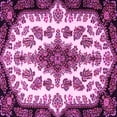 thumbnail image 1 of Ahgly Company Indoor Square Medallion Pink Traditional Area Rugs, 4' Square, 1 of 4