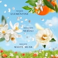 thumbnail image 5 of Downy Boutique Botanicals In Wash Laundry Scent Booster Beads, CITREA Scent, 4.8 oz, 5 of 13