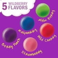 thumbnail image 5 of Skittles Fun Size Candy Variety Pack – Original, Wild Berry & Gummies  (3 Pounds), 5 of 12