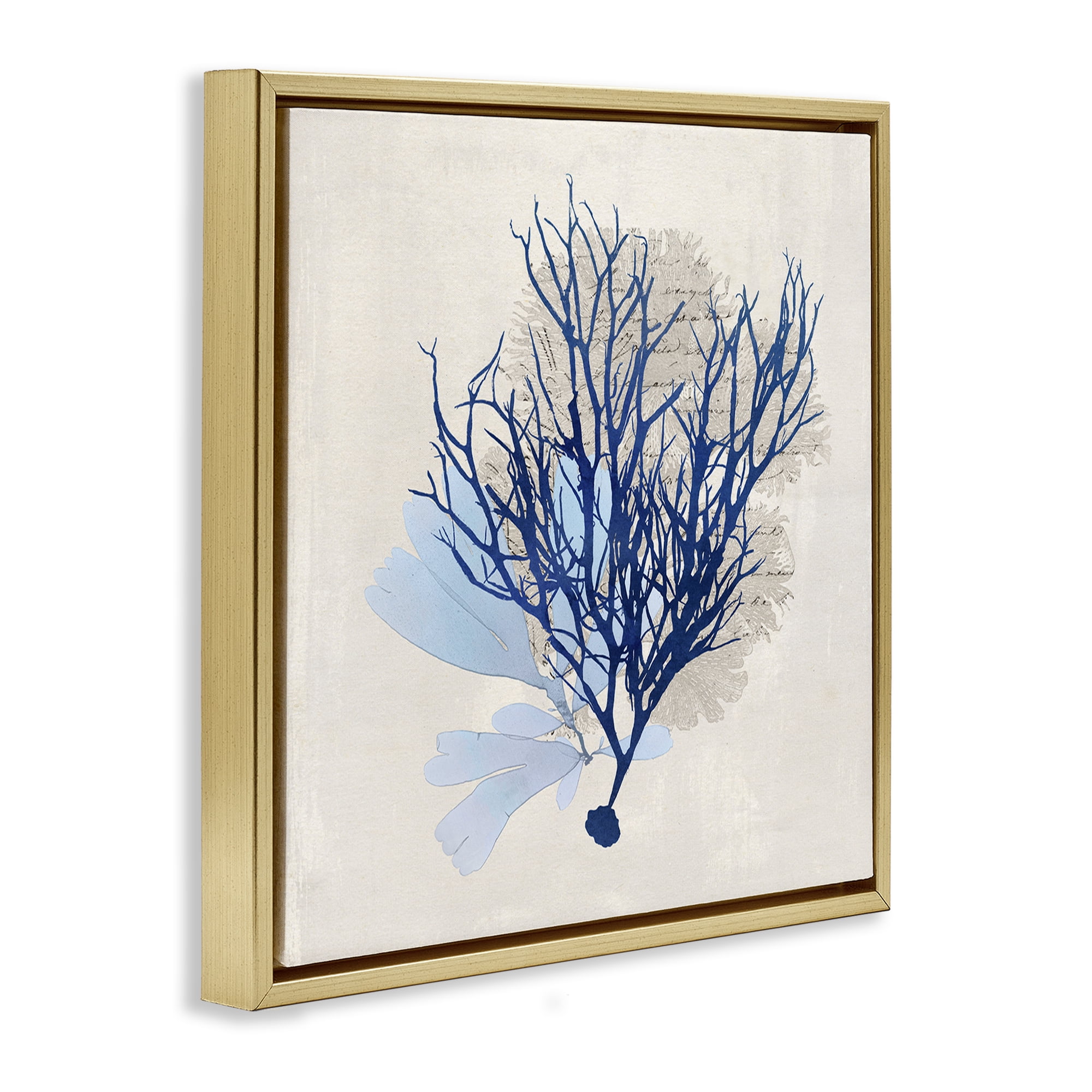 Stupell Industries Modern Coral Branch Nautical & Beach Painting Gold Floater Framed Canvas Art Print Wall Art, 25 x 25