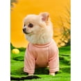 thumbnail image 3 of PETSIN Petsin Fruity Strawberry Printed Bird's Eye Mesh Breathable Pet T-shirt For Cats And Dogs (1pc), 3 of 5