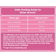 Special Kitty Chicken and Turkey Flavor with Oatmeal Kibble Dry Cat Food for Kittens, 3.15 lb Bag