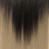Dark Brown/Ash Blonde