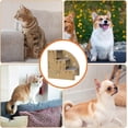 thumbnail image 3 of Pet Ladder for Sofa, Pet Ramp for Couch, 3 Step Pet Stairs for Bed, Balanced Dog Indoor Ramp, NonSlip Pet Ramp Stairs for Small Dogs, Cats, 3 of 5