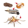 thumbnail image 3 of 2-3 del paquete de aprendizaje de 4 partes  2 piezas Yotijar Juego de crecimiento de insectos para niños, 3 of 10