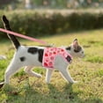 thumbnail image 6 of Coloody Cat Harness and Leash Set ,for Kitties Puppies Small Pets Outdoor Walking, 6 of 7
