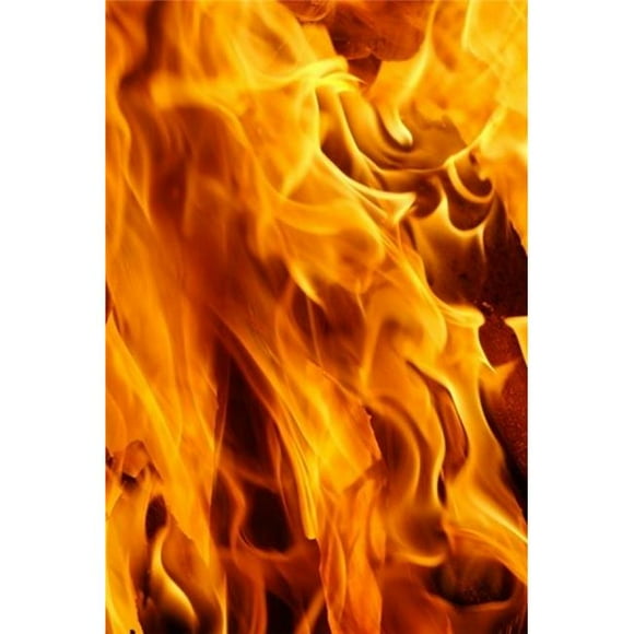 Danita Delimont PDDAS10AJE0282B Close-Up of Fire Flames Jodhpur India Poster Print by Adam Jones, 11 x 17