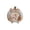 Multicolorb, variant on Halloween Ghost Pumpkin Mini House Light, Illuminated Wooden Miniature Scene Ornament with Cute Spirit Figure, Desktop Tabletop Decoration for Mantel, Shelf, Entryway, Party & Fall Display