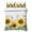 White Yellow, variant on Queen Quilts Bedding Set,Summer Surfing Tropical Surfboard Palm Tree Soft Warm Quilted Bedspread Comforter with Pillow Shams,Wood Board All Season Coverlet Bed Decor Blankets