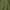 Military Green, variant on Mens Dad shirt Super Cool Dad Shirt Dad Killing It Tee Father's Day Dad Shirt Fathers Day Gift