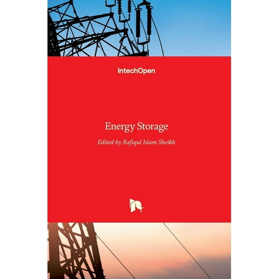 Energy Storage (Hardcover)