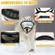 thumbnail image 2 of Gafas para perros, gafas de sol con protección Uv para perros con correa ajustable, gafas antivaho a prueba de viento para mascotas al aire libre, 2 of 5
