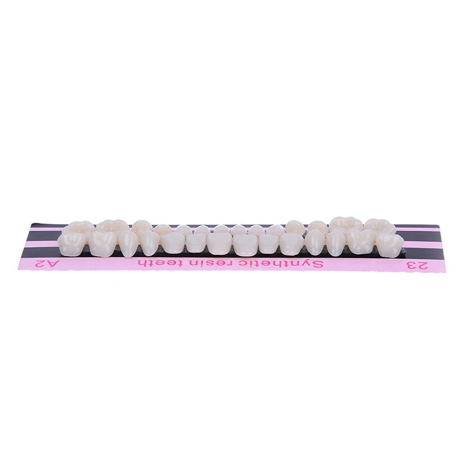 28Pc 1set denture acrylic resin full set teeth upper lower shade 23# A2 dental
