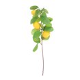 thumbnail image 1 of Shisuyan Artificial Stems Yellow 1Pack 19.7x5.5in, 1 of 9