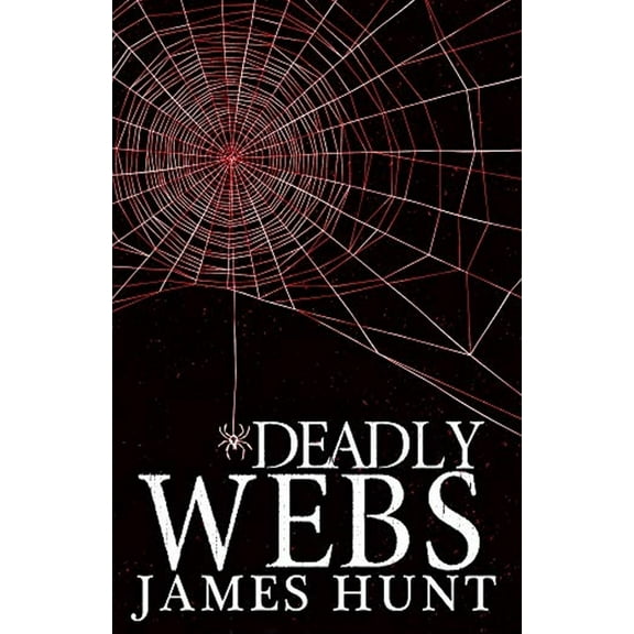 A Riveting Kidnapping Mystery: Deadly Webs (Series #3) (Paperback)