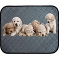 thumbnail image 2 of Tapis de Propreté Lavables Réutilisables Imperméables et Extra Absorbants Antidérapants pour Chiots, 2 of 2