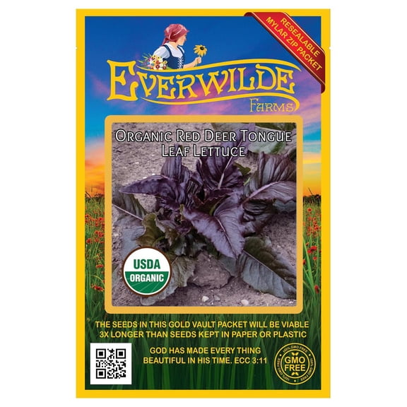 Everwilde Farms - 500 Organic Red Deer Tongue Leaf Lettuce Seeds - Gold Vault Jumbo Bulk Seed Packet