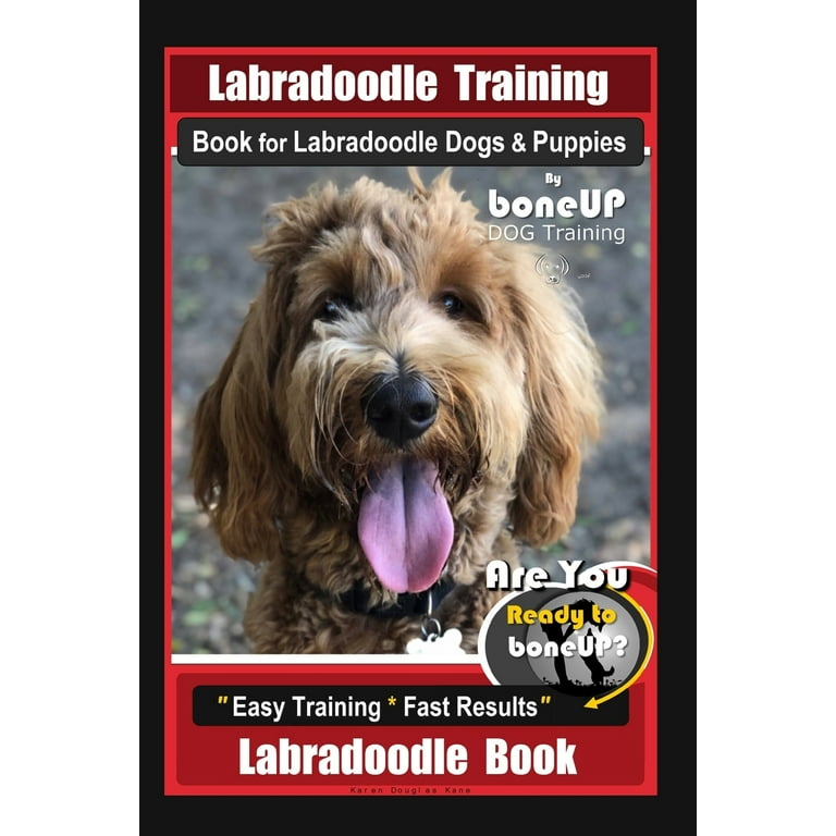 How To Train A Dog Fast