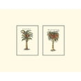 thumbnail image 2 of Vision Studio 24x20 Gold Ornate Wood Framed with Double Matting Museum Art Print Titled - Miniature Palm II, 2 of 4
