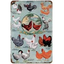 Breeds of Chickens Chart Vintage Metal Tin Sign For Farm Chicken Coop Wall Decoration 12" x 8"