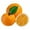 F, variant on 3D Resin Fruit Fridge Funny Cute Decorative Accessories For Refrigerators Whiteboards And Metal