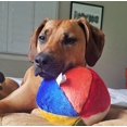 thumbnail image 2 of Pelota de playa de peluche Fluff & Tuff, juguete para mascotas de 18 cm de diámetro, 2 of 3