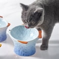thumbnail image 4 of Cuenco para gatos, utensilios de cerámica que protegen las vértebras cervicales, olla para comer, comida para gatos, cuenco para gatos, peces coloridos, 4 of 5