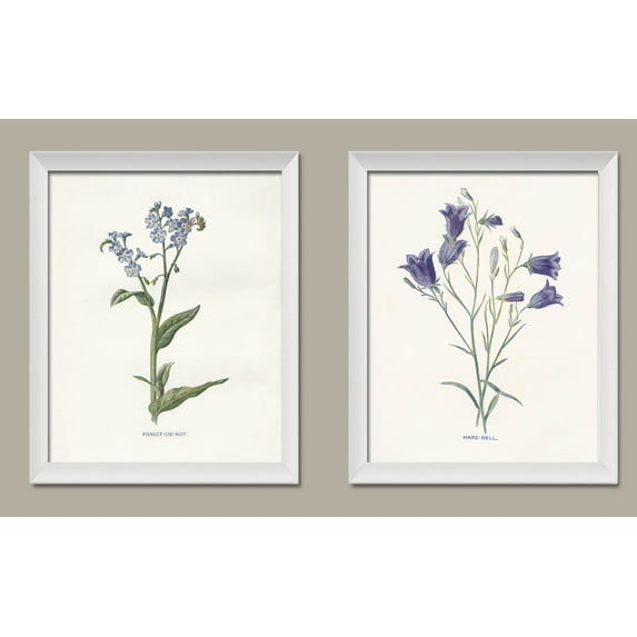 Lovely Old-Fashioned Botanical Hare-Bell and Forget Me Not Set by Gwendolyn Babbitt; Floral Decor; Two 11x14in White Framed Prints; Ready to hang!