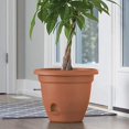 thumbnail image 2 of Planteur Lucca 8"-Terra Cotta, 2 of 5