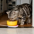 thumbnail image 3 of Intelligent USB Powered Thermal Cat Food Bowl Insulated Heated Pet Feeder Temperature Control Smart Warming Tray For Indoor Cats, 3 of 3