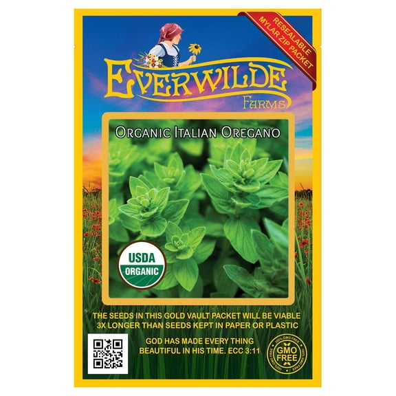 Everwilde Farms - 1000 Organic Italian Oregano Herb Seeds - Gold Vault Jumbo Bulk Seed Packet