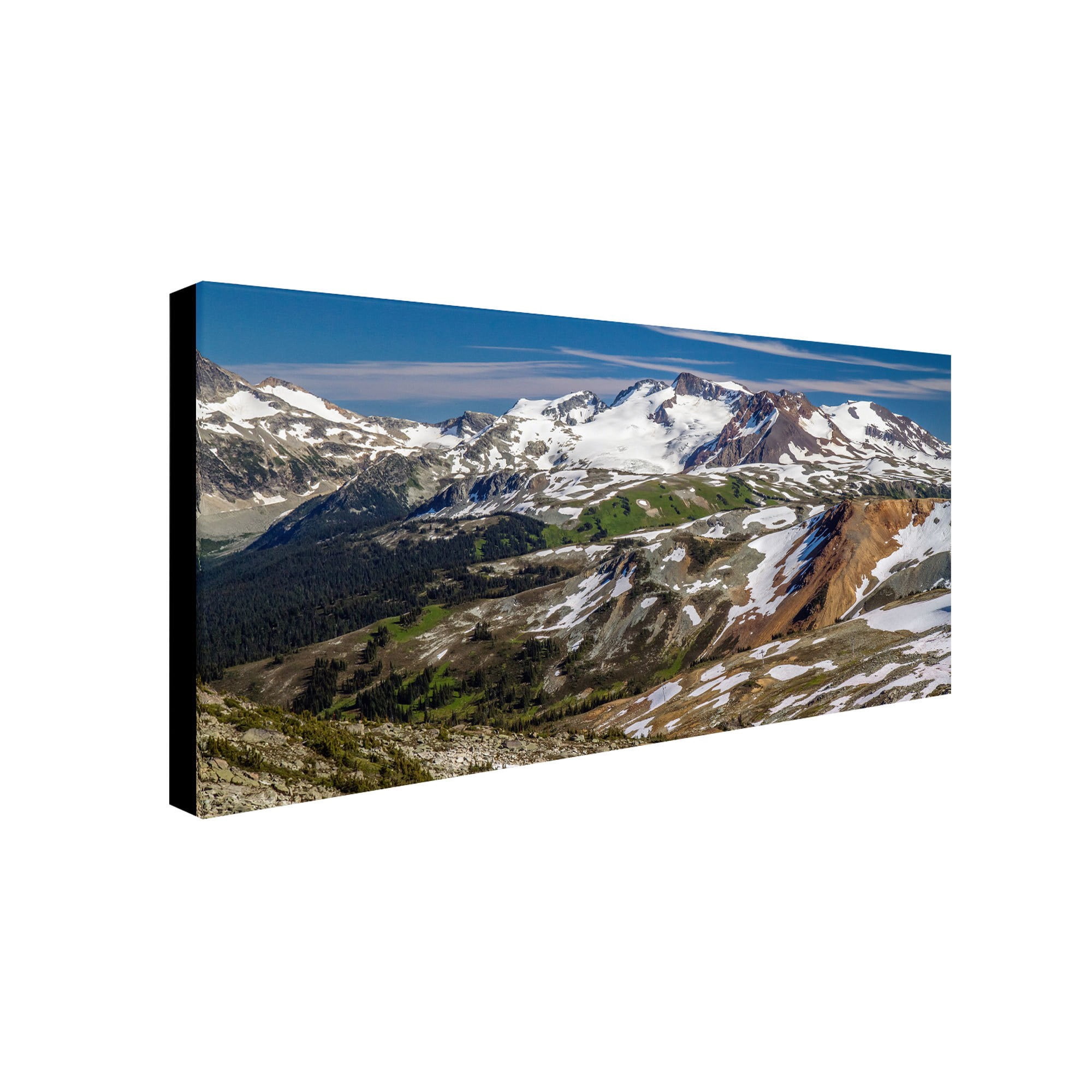 Trademark Fine Art "Whistler Summer" Canvas Art by Pierre Leclerc