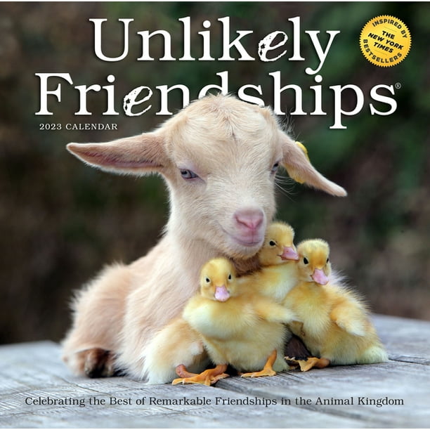 Unlikely Friendships Wall Calendar 2023 Heartwarming Photographs