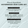 thumbnail image 3 of Set de cuidado de la piel Asterwood Skin Care con ácido hialurónico y sueros, 3 of 9