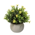thumbnail image 2 of Dusknt Small Artificial Plants Potted for Desk Decor, Fers with Pot for House Tabletop Shelf Bathroom Bedroom OficeFarmhouse Greenery, Yel, 2 of 9