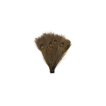 Zucker Feather Products Peacock Tail Eyes Bleached Dyed - Brown