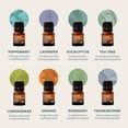 thumbnail image 3 of Cliganic Organic Aromatherapy Set - Top 8 Essential Oils - 8x0.17oz, 3 of 9