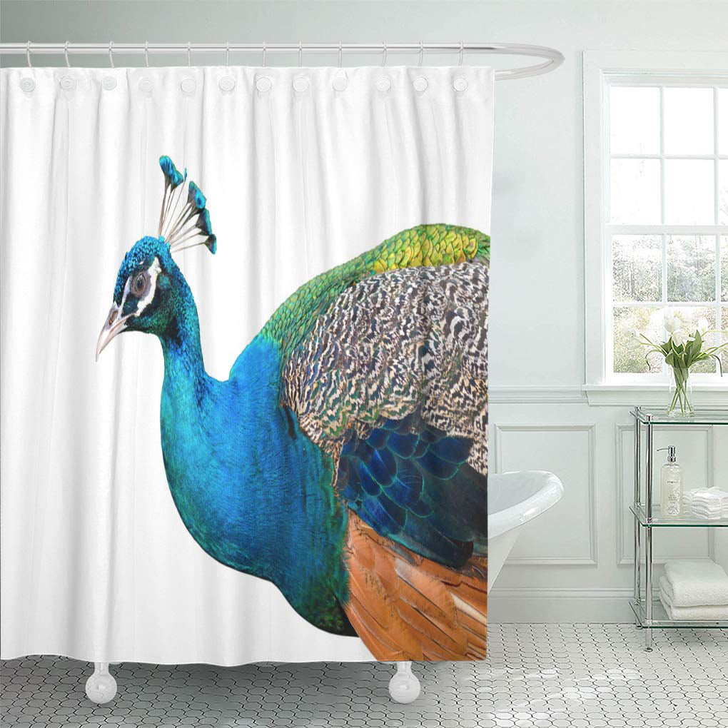 Beautiful Purple Green Blue White Peacock Bird Feather Bathroom Shower Curtain 