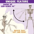 thumbnail image 4 of 2 PCS 24” Halloween Skeleton Decor, 2 FT Full Body Stayable Posable Skeletons for Halloween, White Human Plastic Bones with Movable Joints for Spooky Indoor Outdoor Decoration, Graveyard Prop, 4 of 8