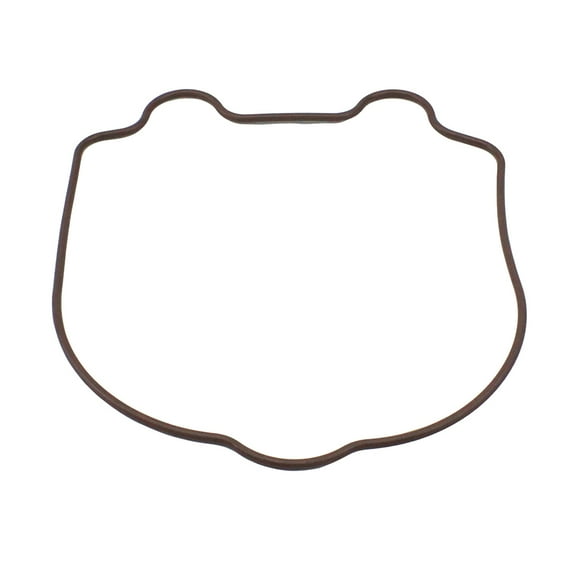 Polaris 0452392 Genuine OEM Cylinder Head Cover O-Ring 2005-2019 Phoenix Sawtooth 200